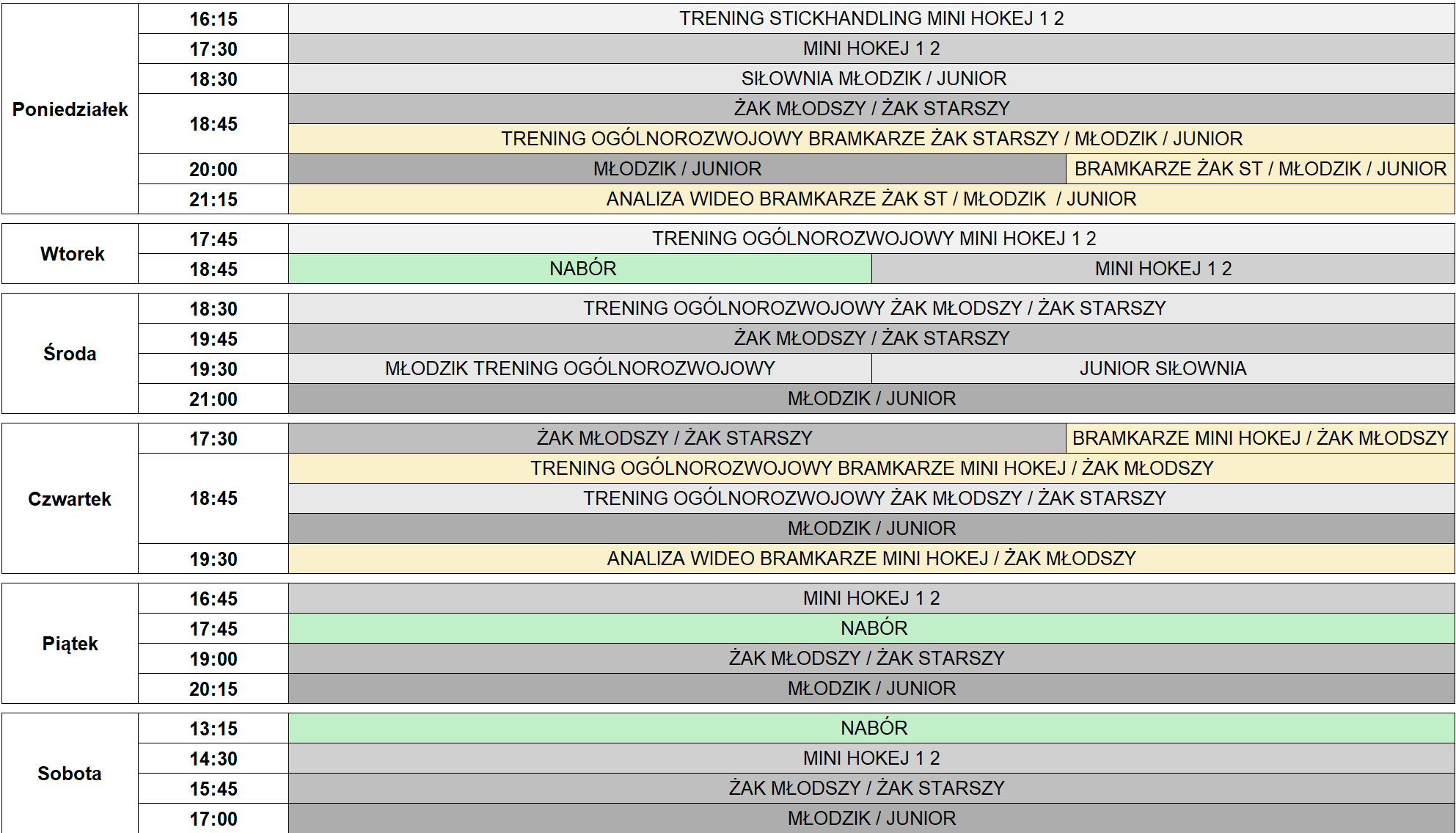 Legia Hokej - plan treningowy